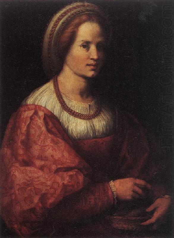 Andrea del Sarto Portrait of a Woman with a Basket of Spindles china oil painting image